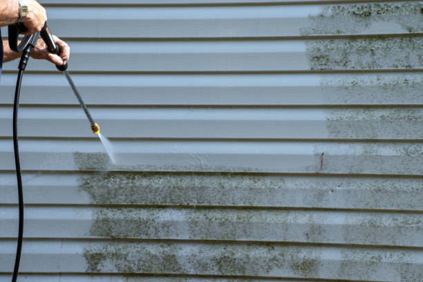 Best Same-Day Junk Removal Services  in Richmond, TX